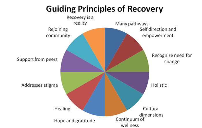 recovery-guiding-principles